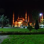 DSC_8869.JPG