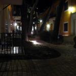 IMG_2265.JPG