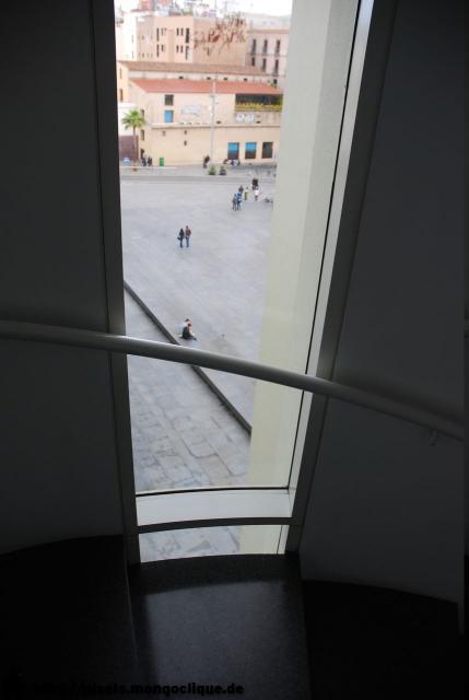 DSC_4248.JPG