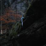 DSC_5564.JPG