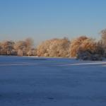 DSC_5960.JPG
