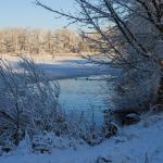 DSC_5962.JPG