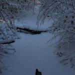 DSC_5970.JPG