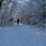 DSC_5973.JPG