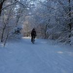 DSC_5974.JPG