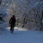 DSC_5975.JPG