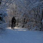 DSC_5976.JPG