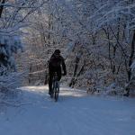 DSC_5977.JPG