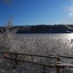DSC_5980.JPG