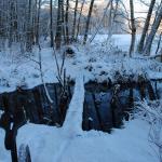 DSC_5982.JPG