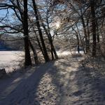 DSC_5983.JPG