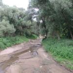 DSCN4322.JPG