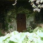 DSCN4328.JPG