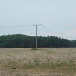 DSCN4414.JPG