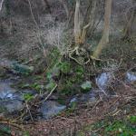 DSC_5802.JPG