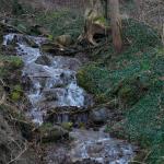 DSC_5808.JPG
