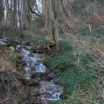 DSC_5809.JPG
