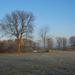 DSC_5905.JPG