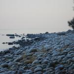 DSC_5906.JPG