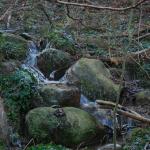 DSC_5911.JPG