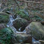 DSC_5912.JPG