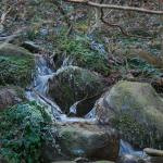 DSC_5913.JPG