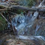 DSC_5916.JPG