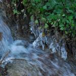 DSC_5917.JPG
