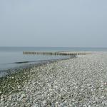 DSCN2376.JPG