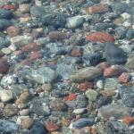 DSCN2378.JPG
