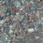 DSCN2379.JPG