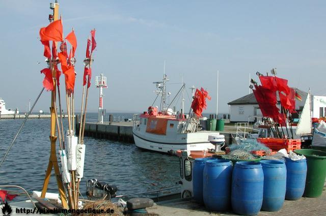DSCN2392.JPG