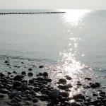 DSCN2399.JPG
