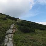 IMG_0715.JPG
