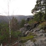 IMG_1455.JPG